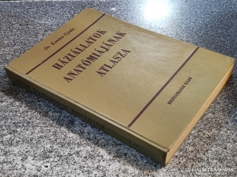Háziállatok anatómiájának atlasza Dr. Kovács Gyula Mezőgazdasági Kiadó, 1967