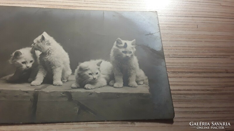 Antique postcard.