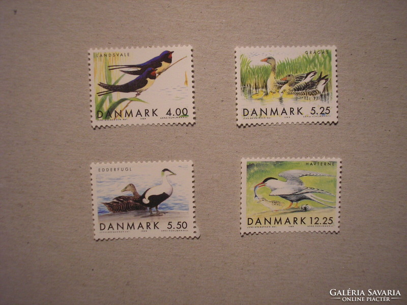 Dánia-Fauna, Vándoradarak 1999