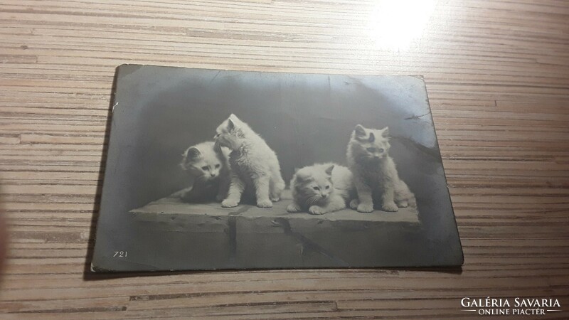 Antique postcard.