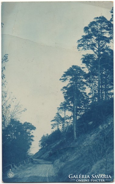 C - 273 running postcard gloomy landscape around 1914