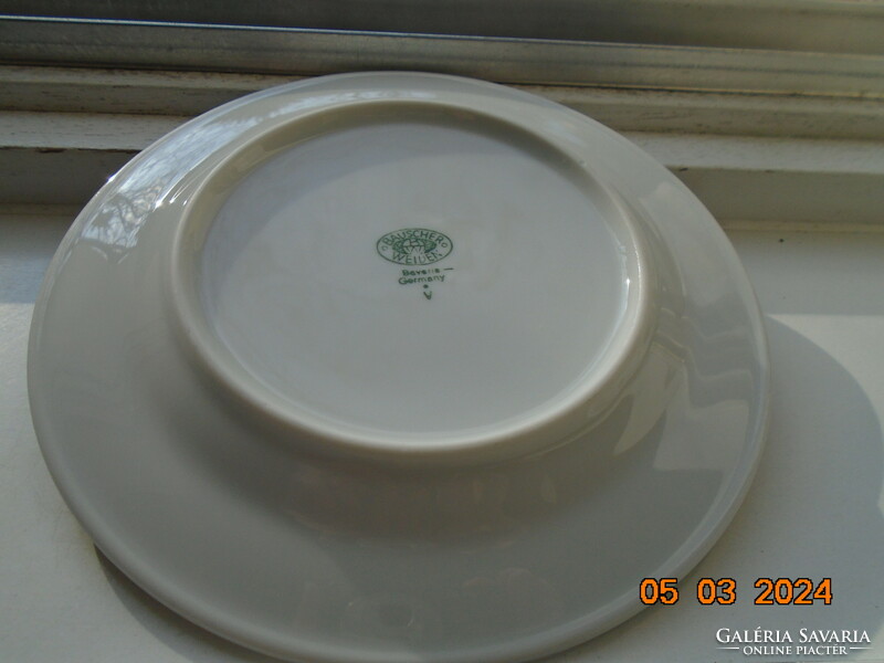 Dense cobalt flower pattern thick-walled coffee cup with a larger plate from the German company Bauscher Weiden