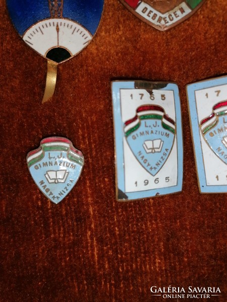 Hungarian school badges from the 60s.