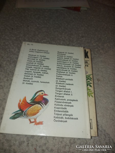 Búvár zsebkönyv, Állatkerti madarak