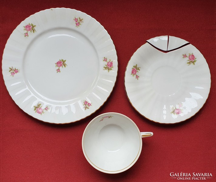 Bavaria f German porcelain coffee tea breakfast set cup small plate plate with flower pattern