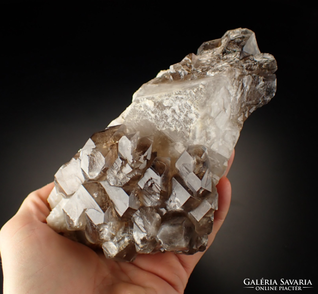 Elestial smoky quartz - 1156 grams - 2023 find
