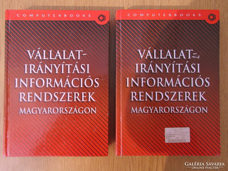 Business management information systems in Hungary (thick, large)