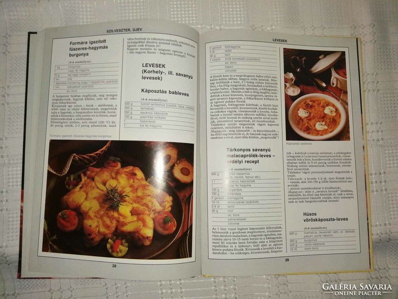 99 ünnepi étel 33 színes ételfotóval c. szakácskönyv