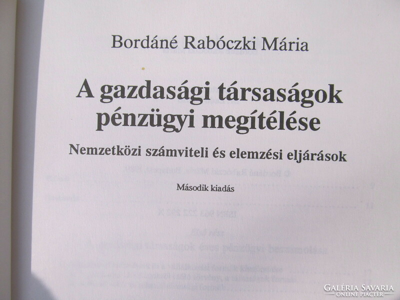 Financial judgment of companies - Mária Bordáné Rabóczki