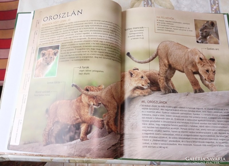 5 animal books for sale!