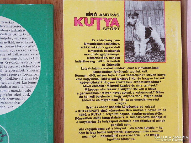 Kutyás könyvek - Fürge villám / Kutya-sport (A kutyatartás ABC-je) / A közös kutya