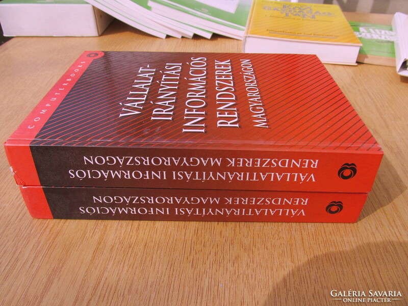 Business management information systems in Hungary (thick, large)