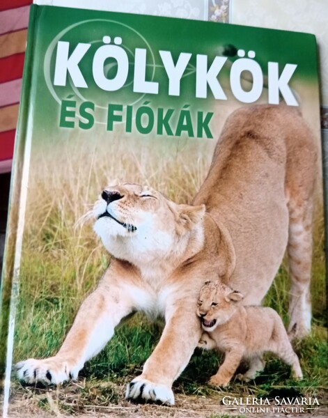 5 db állatos könyv eladó!