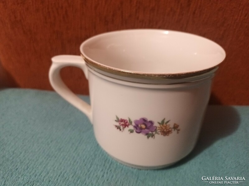 Beautiful old marked Czechoslovak large porcelain mug