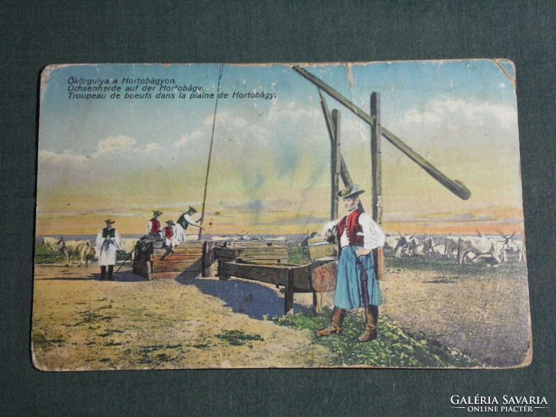 Képeslap,Postcard, Hortobágy (Debrecen), ökörgulya pásztorokkal,1914