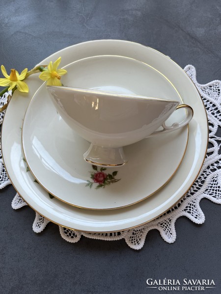 Csodás art deco “Moosrose” Alboth&Kaiser Bavaria klasszikus rózsás reggeliző teás csésze szett, trió