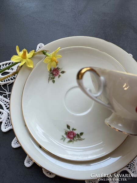 Csodás art deco “Moosrose” Alboth&Kaiser Bavaria klasszikus rózsás reggeliző teás csésze szett, trió