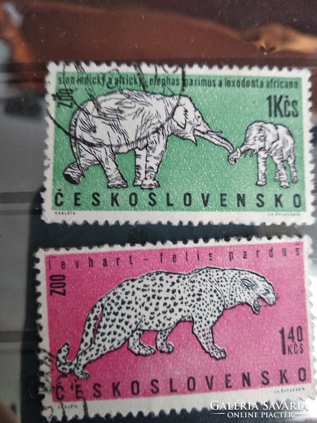 Csehszlovákia, 1962, állatkert