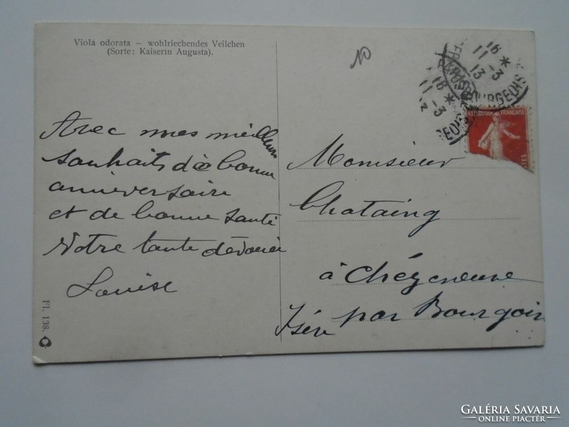 D201685   Régi képeslap  Virágok  -Viola Odorata    Kaiserin Augusta  1913