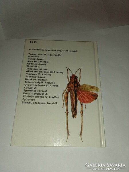 Bakonyi-csiby - locusts, grasshoppers, crickets (diving pocket books) 1990