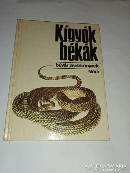 Janisch-Zsámboki - Kígyók, békák (búvár zsebkönyvek)