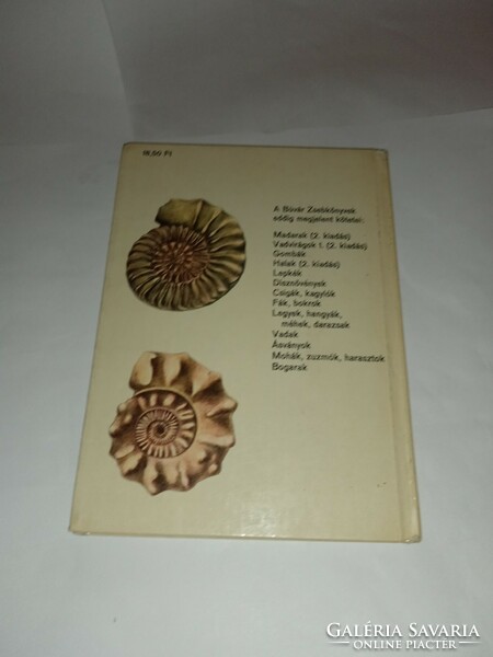 Dr. Gábor Scholz - Fossils (diving pocket book)