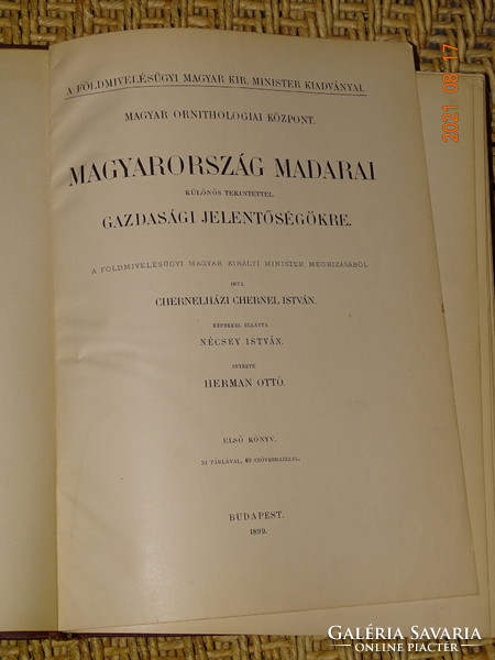 CHERNEL ISTVÁN : MAGYARORSZÁG MADARAI I. 1899 (INTÉZTE: HERMAN OTTÓ)