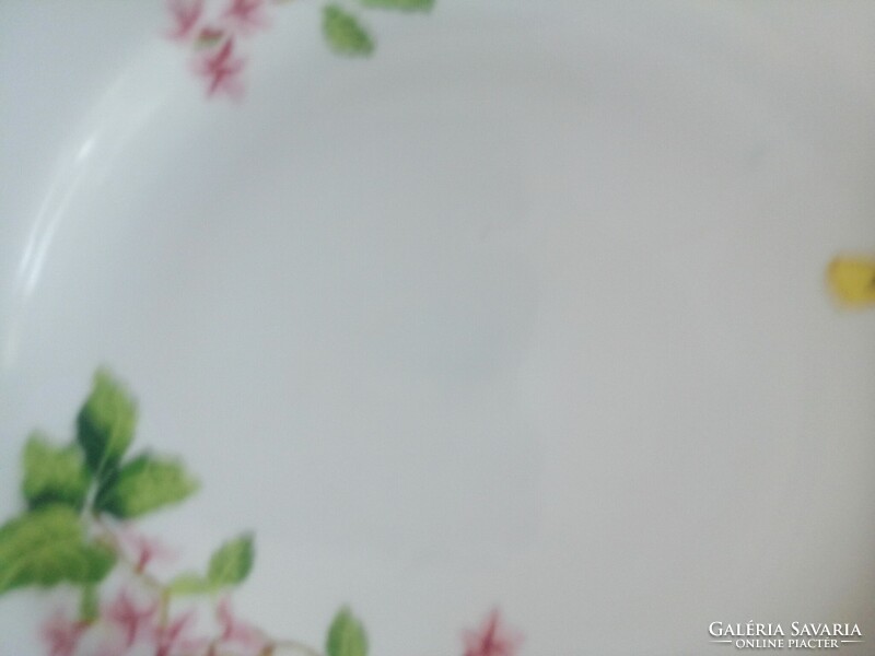 Madaras zaolnay lapos tányér