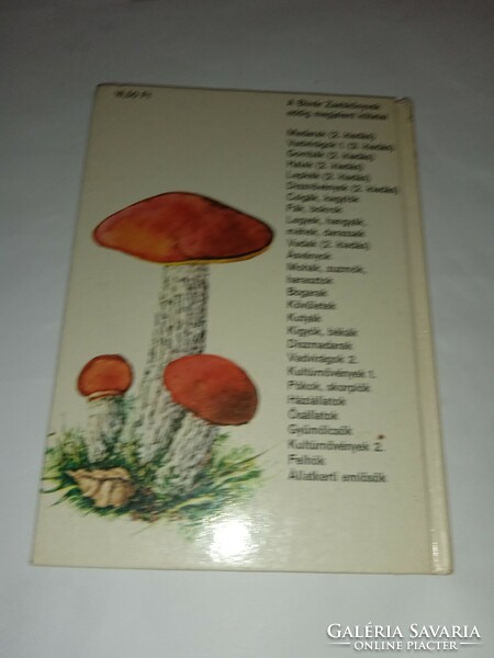 Squid huller - mushrooms (diving pocket books)