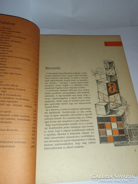 Analysis of the drawings and works of art by Jenő-Paál ákos Balogh in high school i. Textbook publisher for his class in 1970