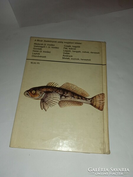 Dr. Wiesinger m.-János Z. Szabó - fish (diving pocket books)