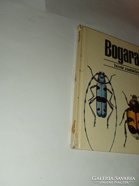 Endrődi-Csépe - Bogarak (búvár zsebkönyvek) 1975