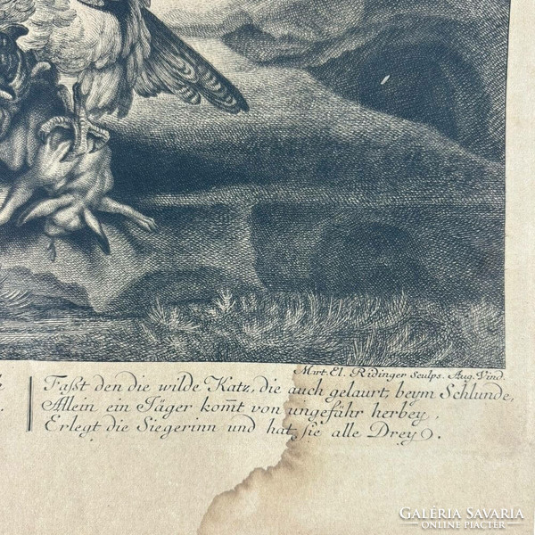 Johann Elias Ridinger képe után, metszette: August Vid - 19 századi nyomat