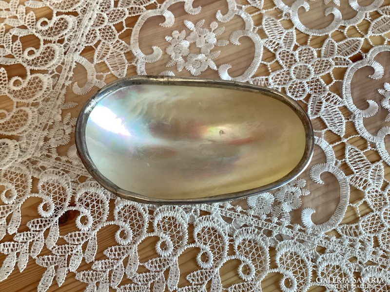 Shell soap holder with silver rim and base.