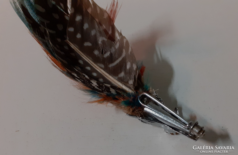 A silver-plated bird's foot-shaped tooth decorated with old bird feathers in a stone brooch