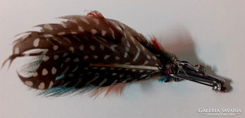 A silver-plated bird's foot-shaped tooth decorated with old bird feathers in a stone brooch