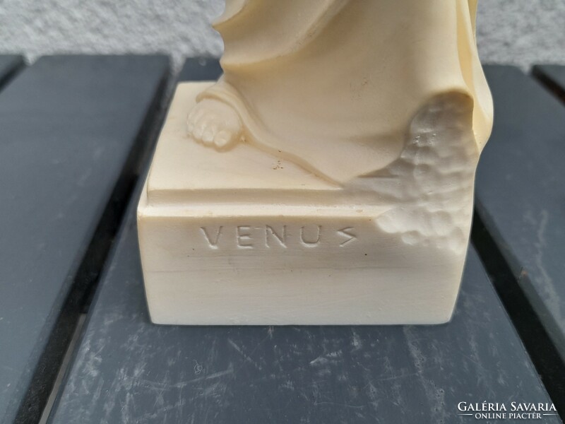 Beautiful Venus statue