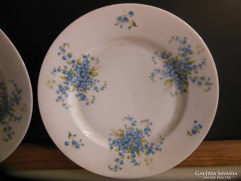 Plate - 2 pieces !! - 1909 - 22 Ig - mz altrohlau - 25 cm - porcelain - perfect