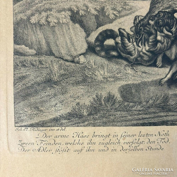 Johann Elias Ridinger képe után, metszette: August Vid - 19 századi nyomat