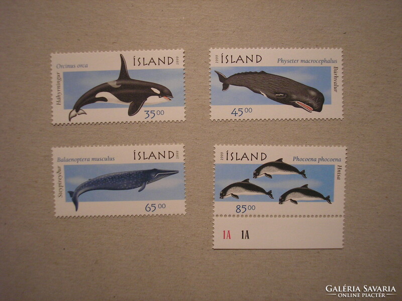 Izland-Fauna, Bálnák 1999