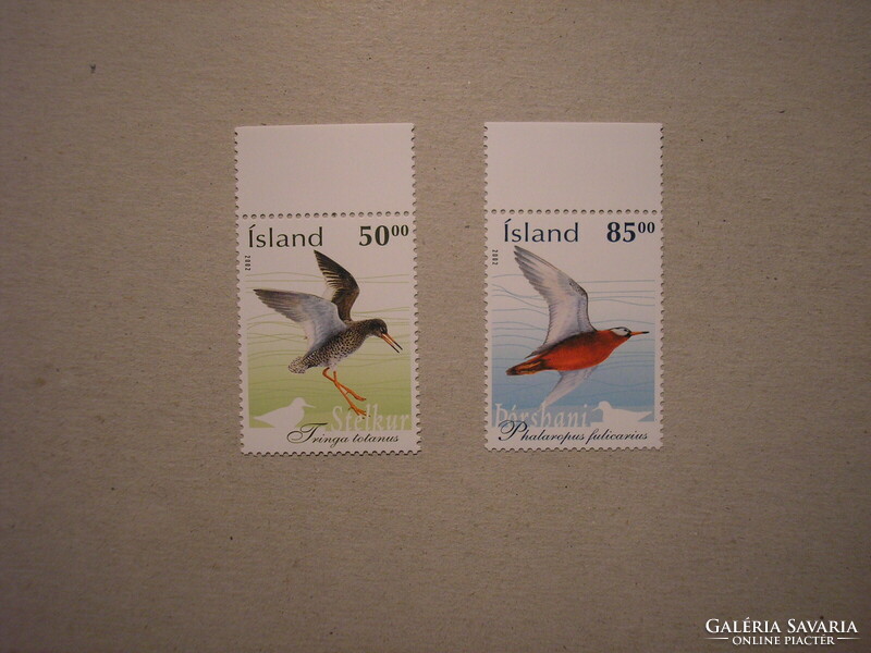 Izland-Fauna, madarak 2002