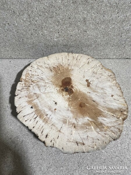 Ashtray made of ash wood, size 15 x 3 cm. 4016