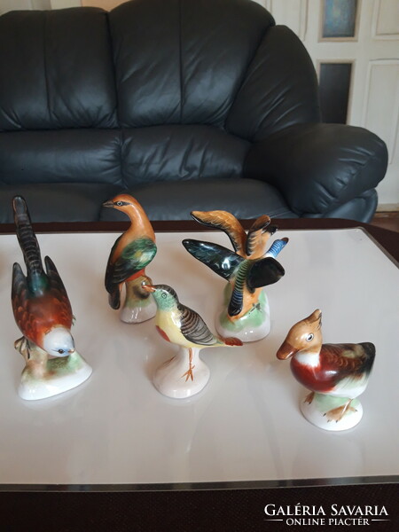 5 porcelain birds together - from a collection