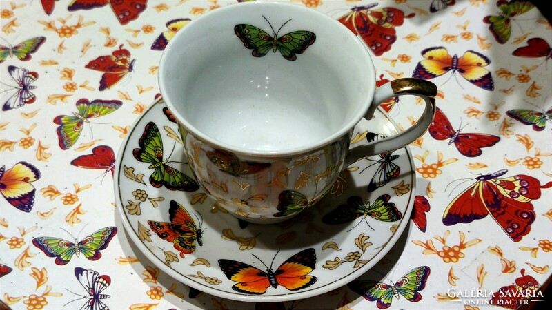 Butterfly porcelain tea set with decorative box