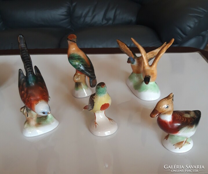 5 porcelain birds together - from a collection