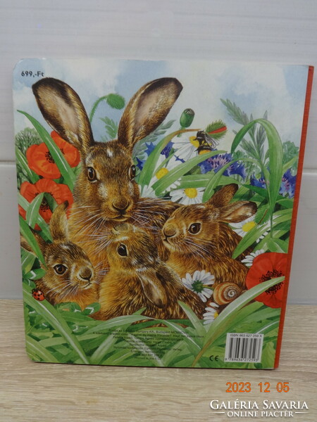 Valerie Briggs: her little bunny friends - let's visit them! - Hardcover storybook
