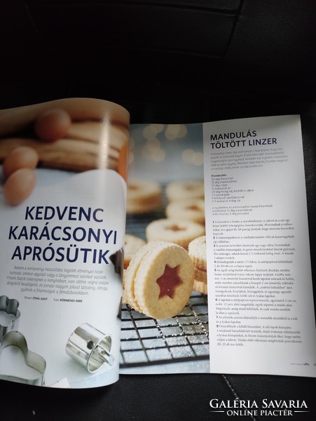 Sthal magazin extra -Karácsonyi édességek 100 kedvenc recept.