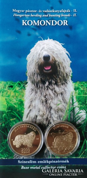 Komondor