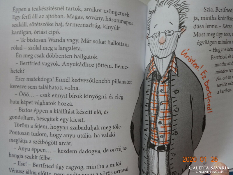 Dagmar Geisler: Wanda's Secret Diary - children's book with the author's drawings