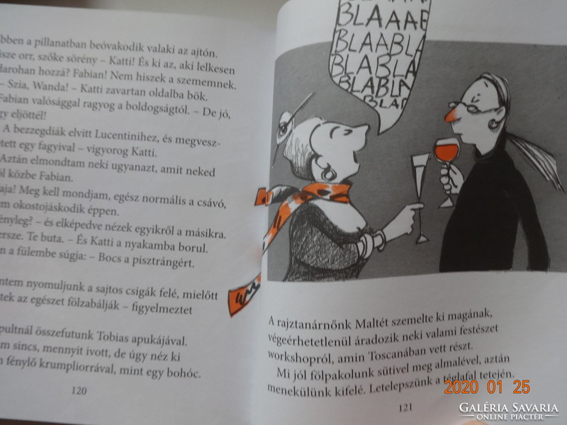 Dagmar Geisler: Wanda titkos naplója - gyermekkönyv a szerző rajzaival